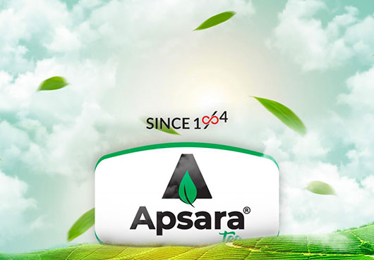 apsara tea branding