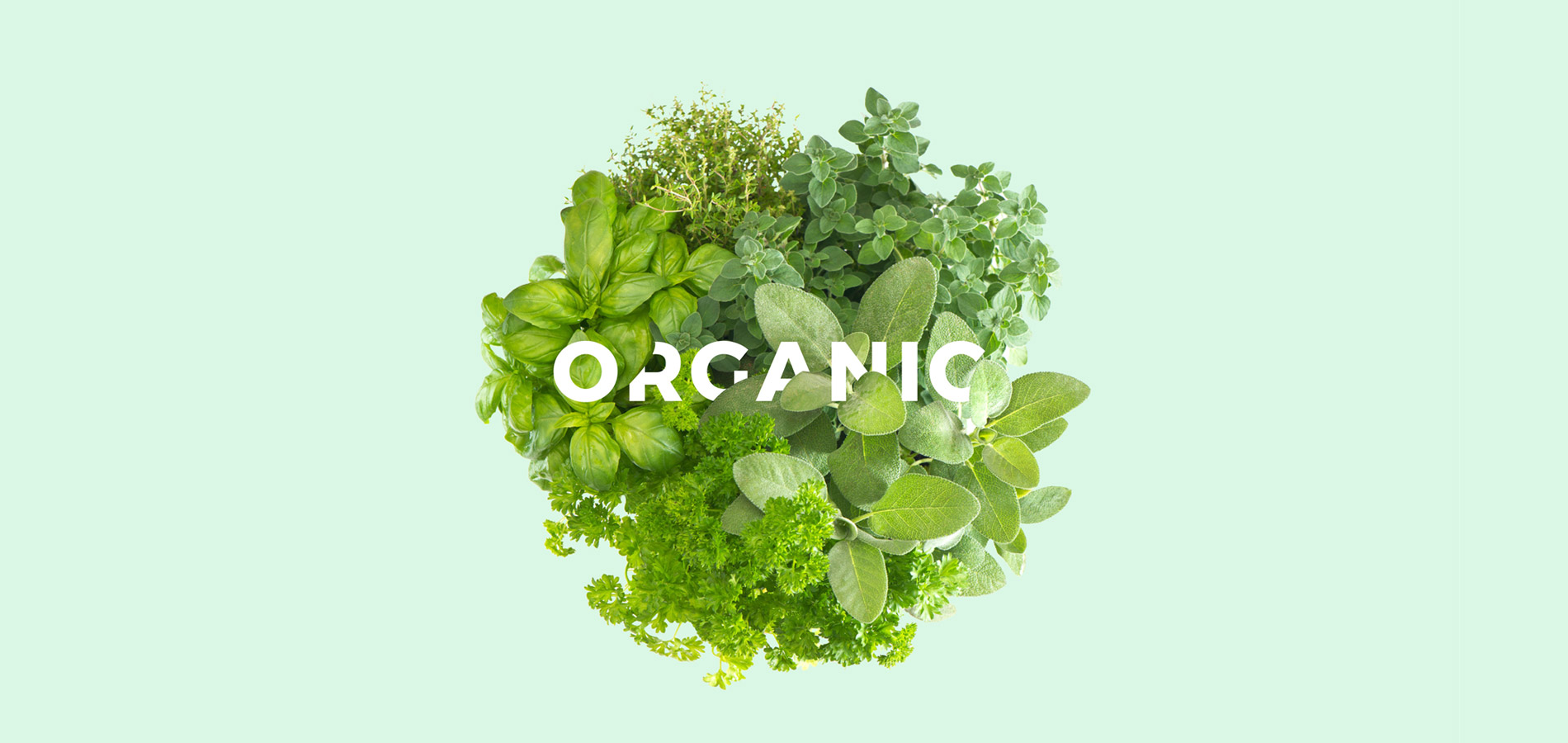 organic herbs cover